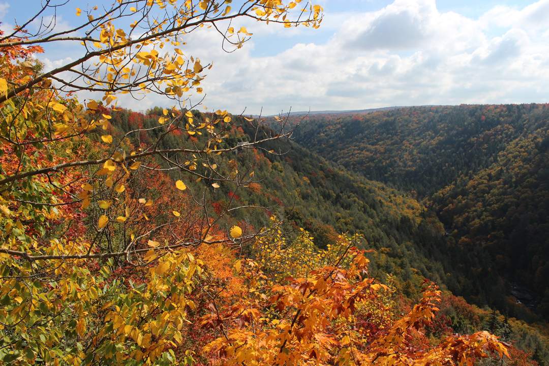  Blackwater Falls State Park. 