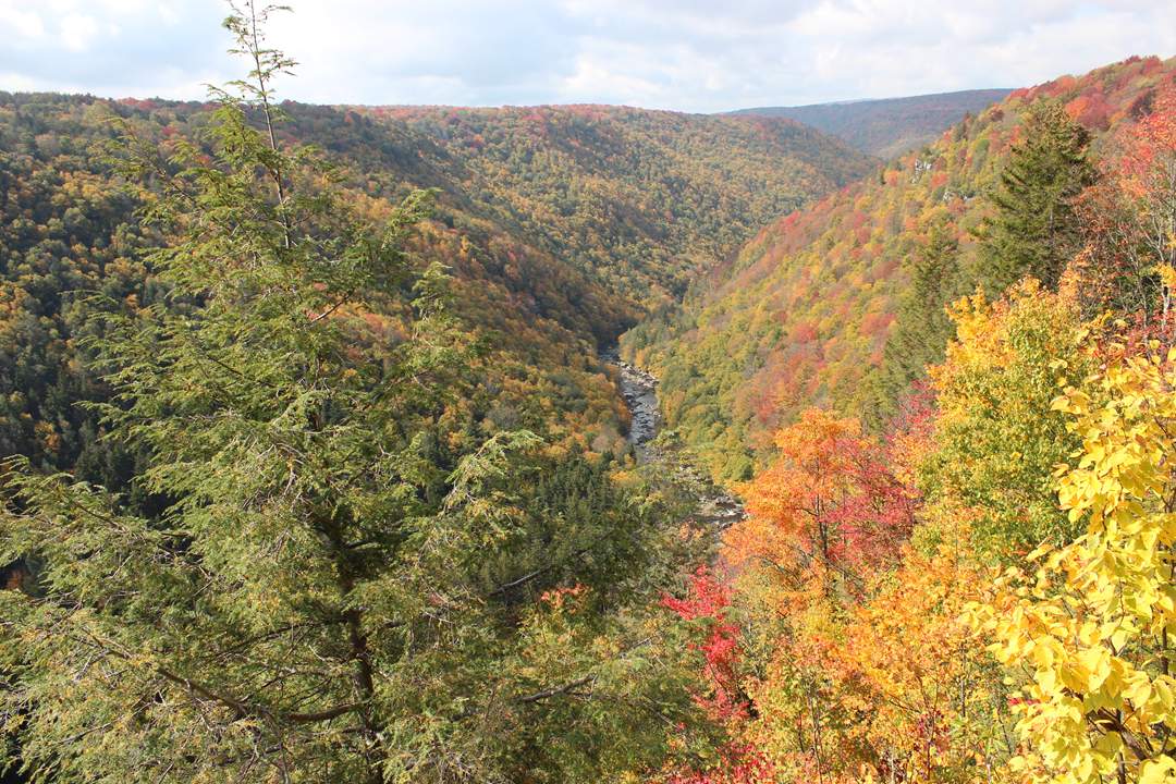  Blackwater Falls State Park. 