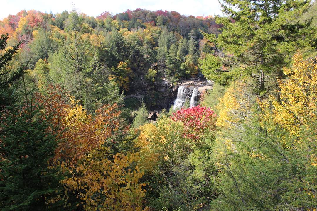  Blackwater Falls State Park. 