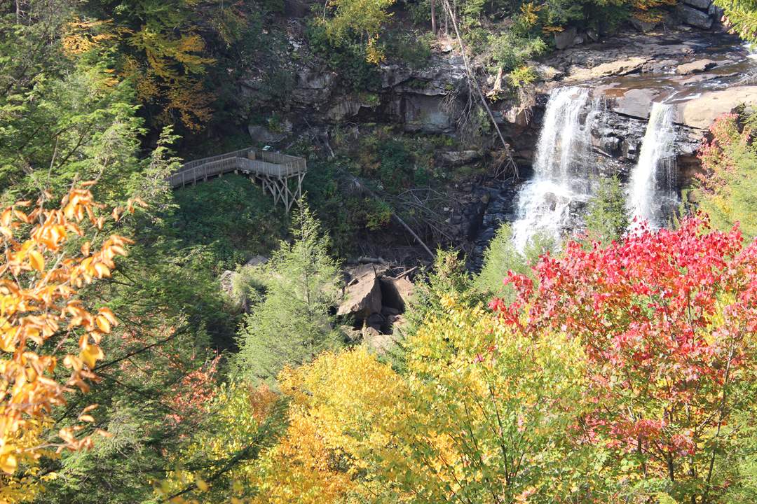  Blackwater Falls State Park. 