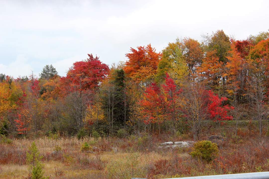  West Virginia pictures. 