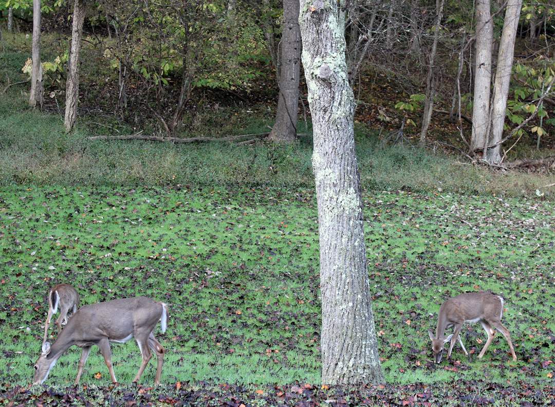  West Virginia pictures. 