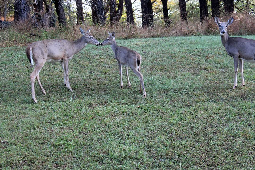 West Virginia pictures. 