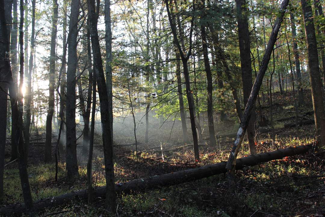  West Virginia pictures. 
