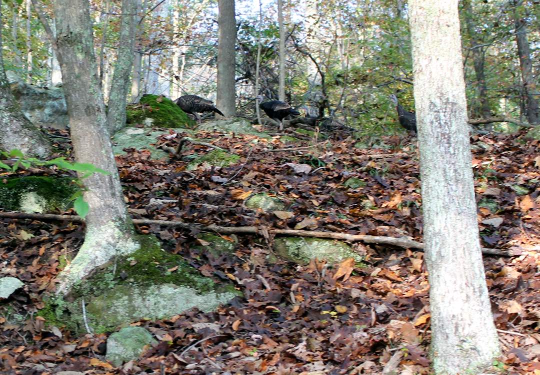  West Virginia pictures. 