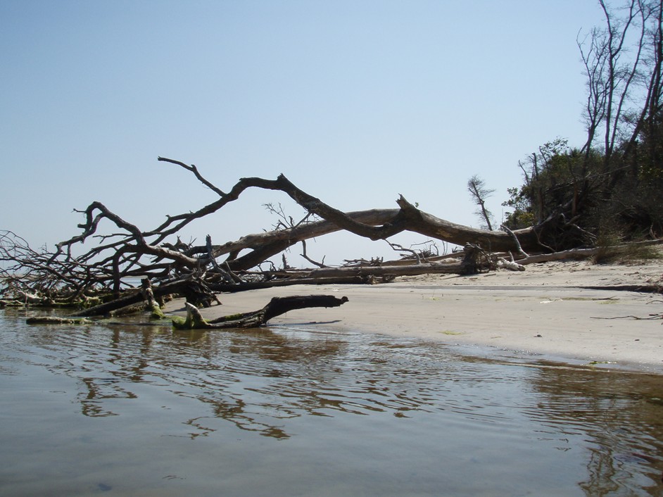  Bogue Inlet canoe and kayak trip.