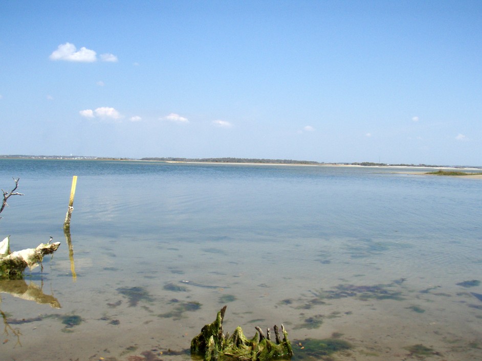  Bogue Inlet canoe and kayak trip.