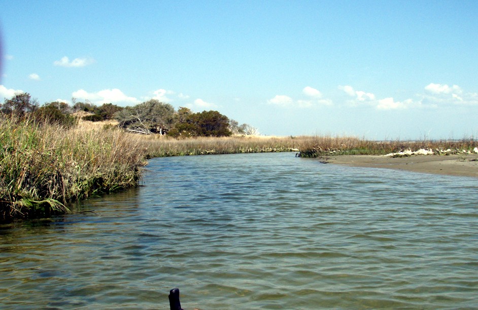  Bogue Inlet canoe and kayak trip.