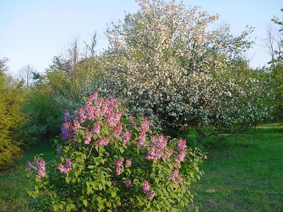  Springtime at home in Perry County