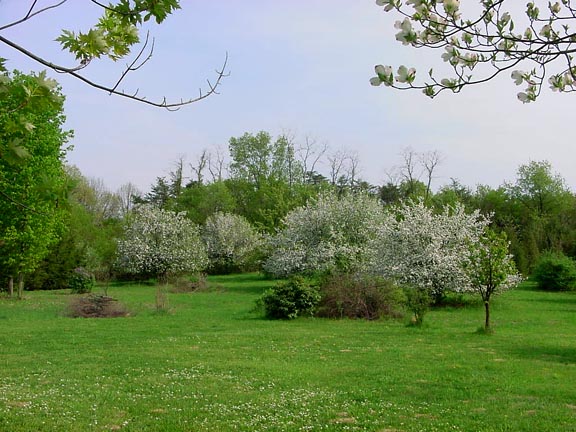  Springtime at home in Perry County