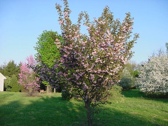  Springtime at home in Perry County