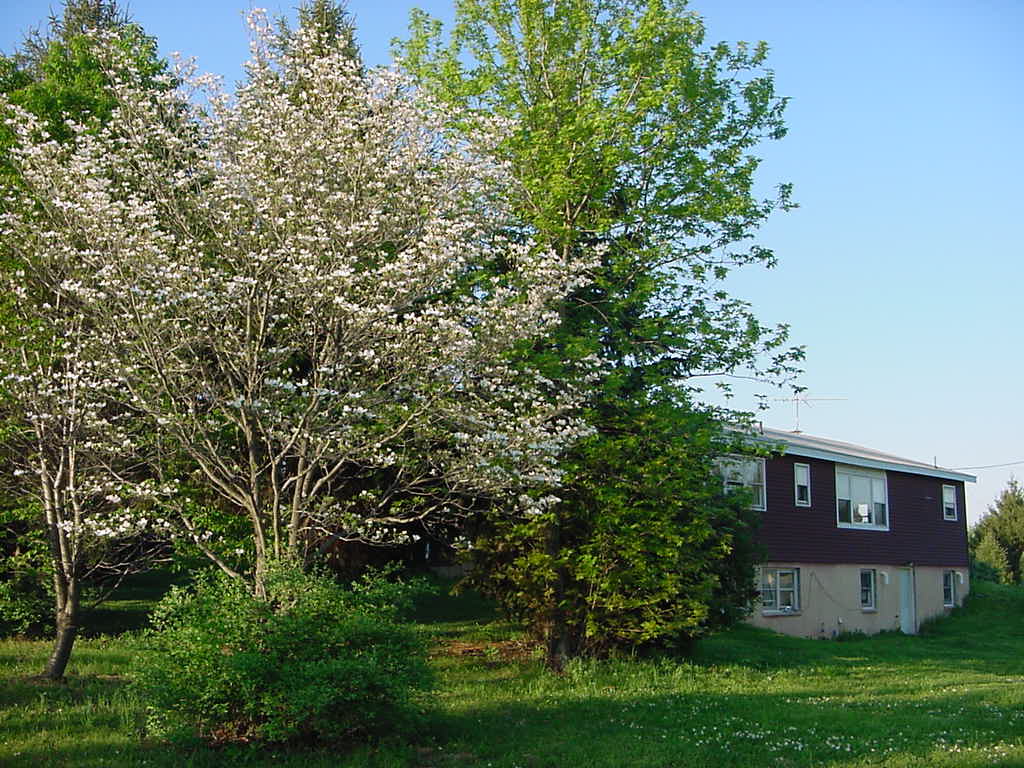  Springtime at home in Perry County