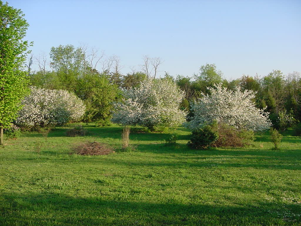  Springtime at home in Perry County