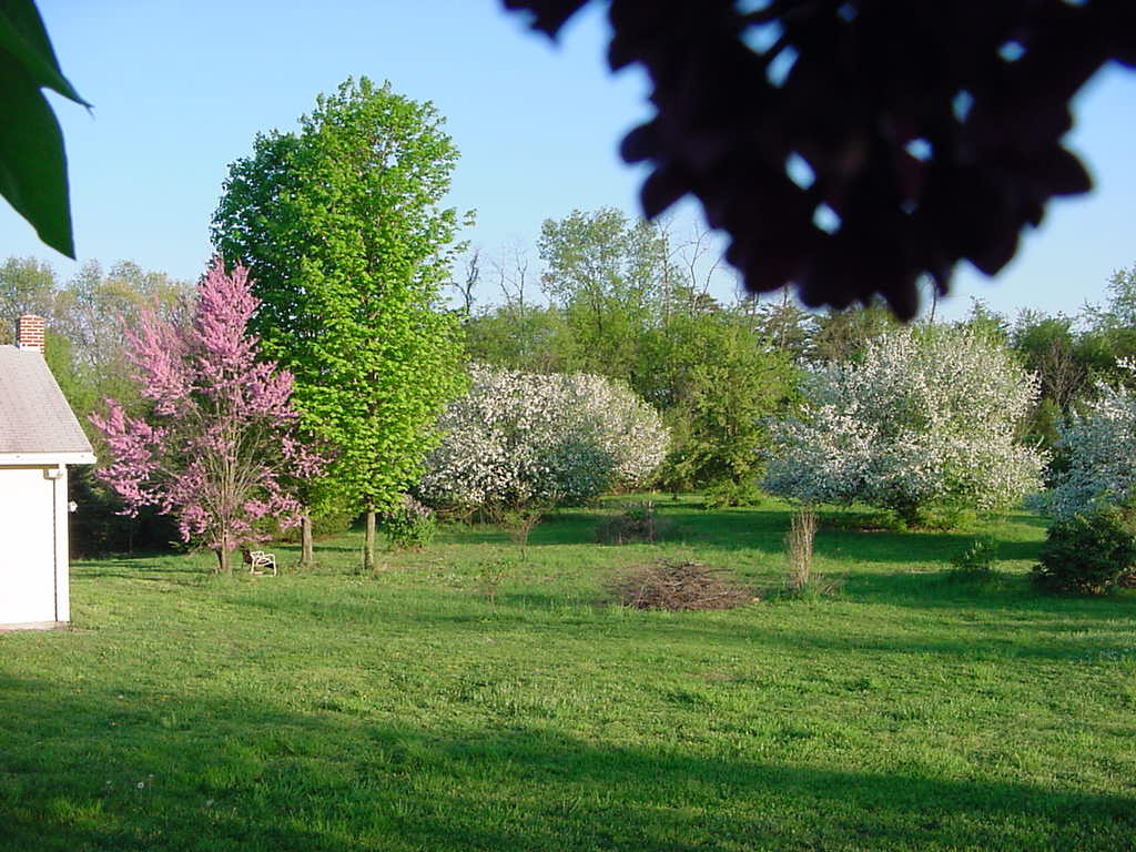  Springtime at home in Perry County