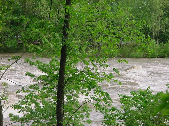 Blue Juniata River  Newton Rapids.
