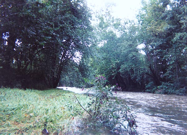 Buffalo Creek.