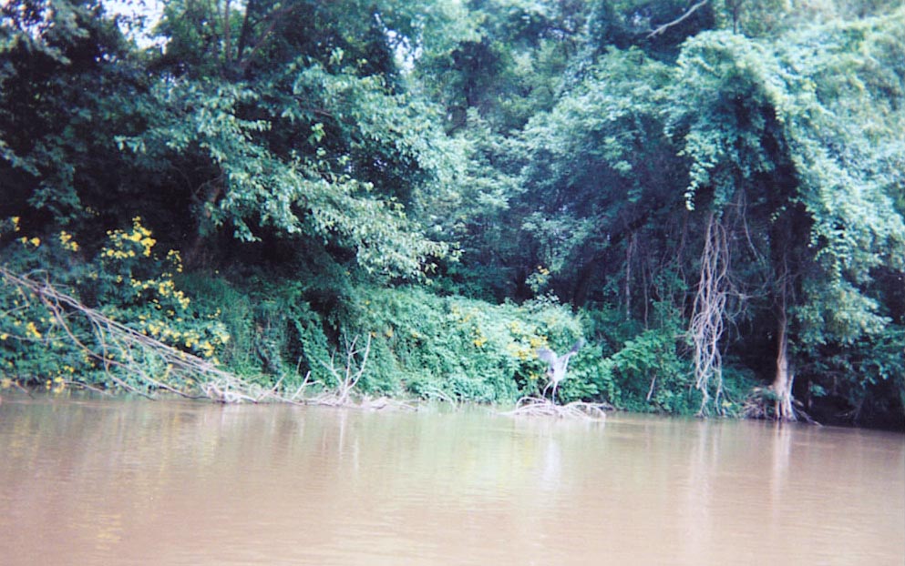 Blue Juniata River.