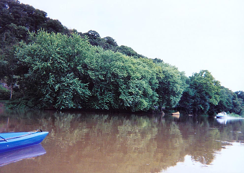 Blue Juniata River.