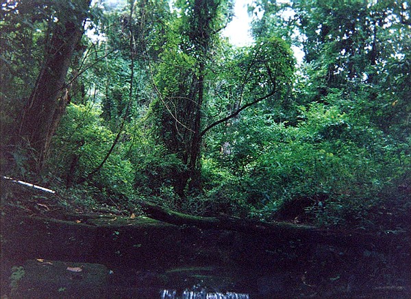 Blue Juniata River.