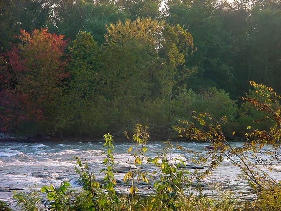 Blue Juniata River  Newton Rapids.