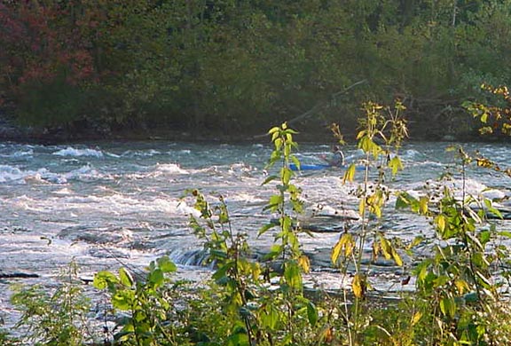 Blue Juniata River  Newton Rapids.