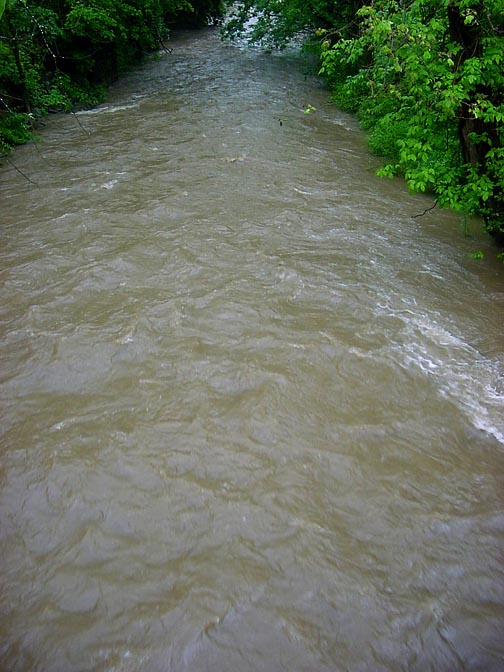 Little Juniata Creek.