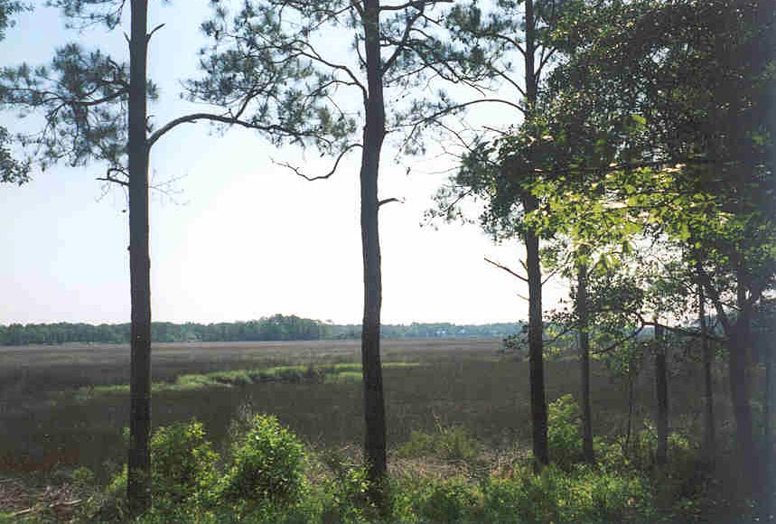 Winding River golf course across the river.