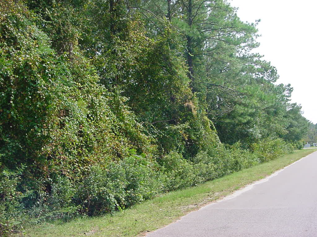 3.6 acres.
