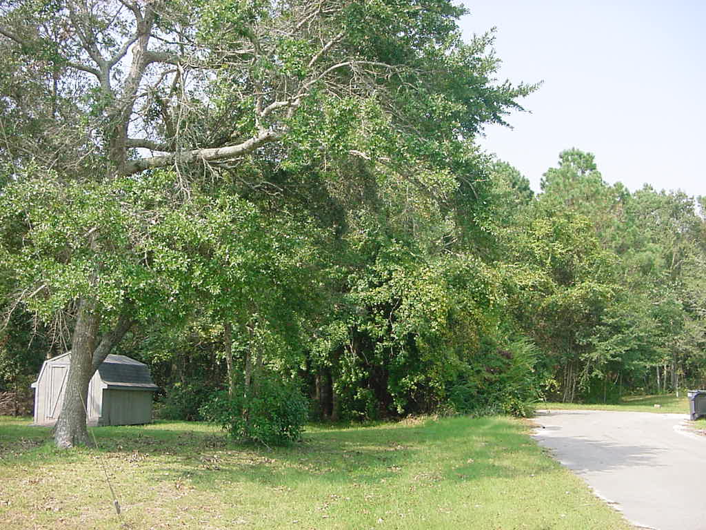 3.6 acres.
