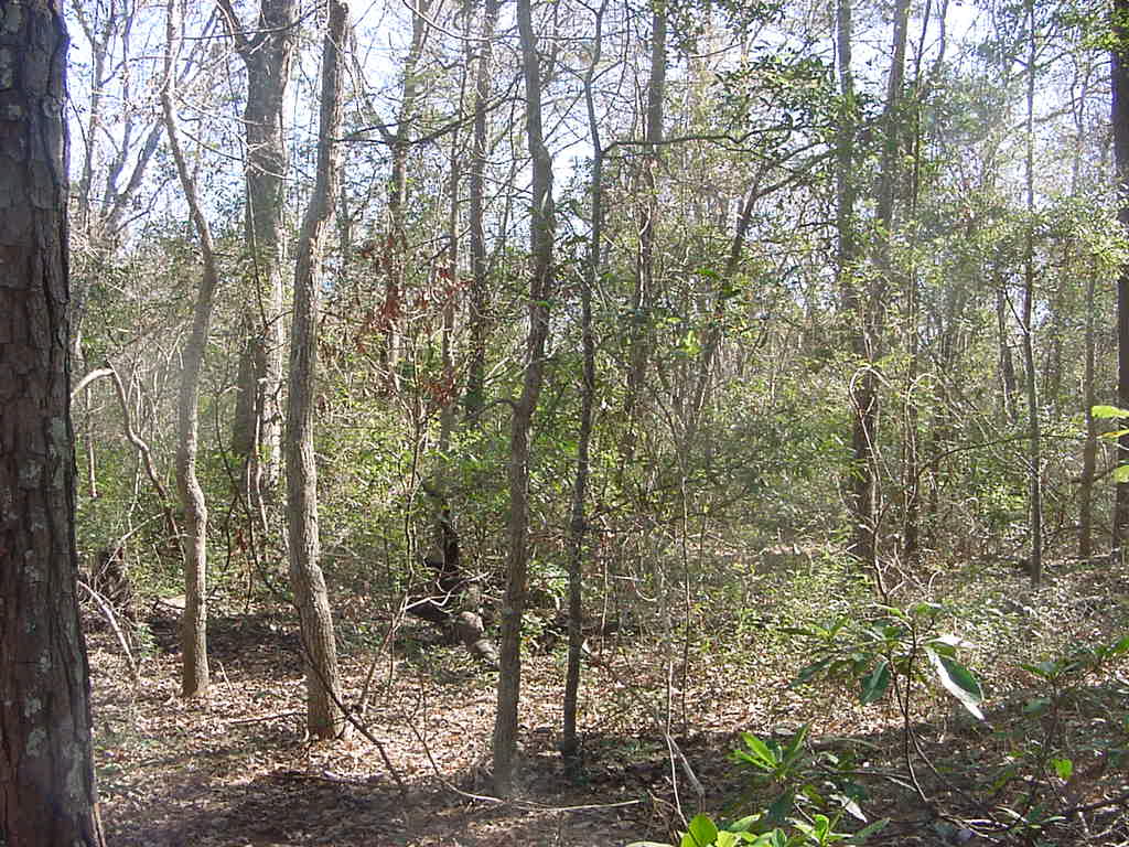 3.6 acres.