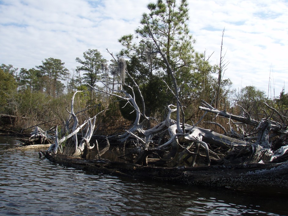  Southwest Creek kayak trip.
