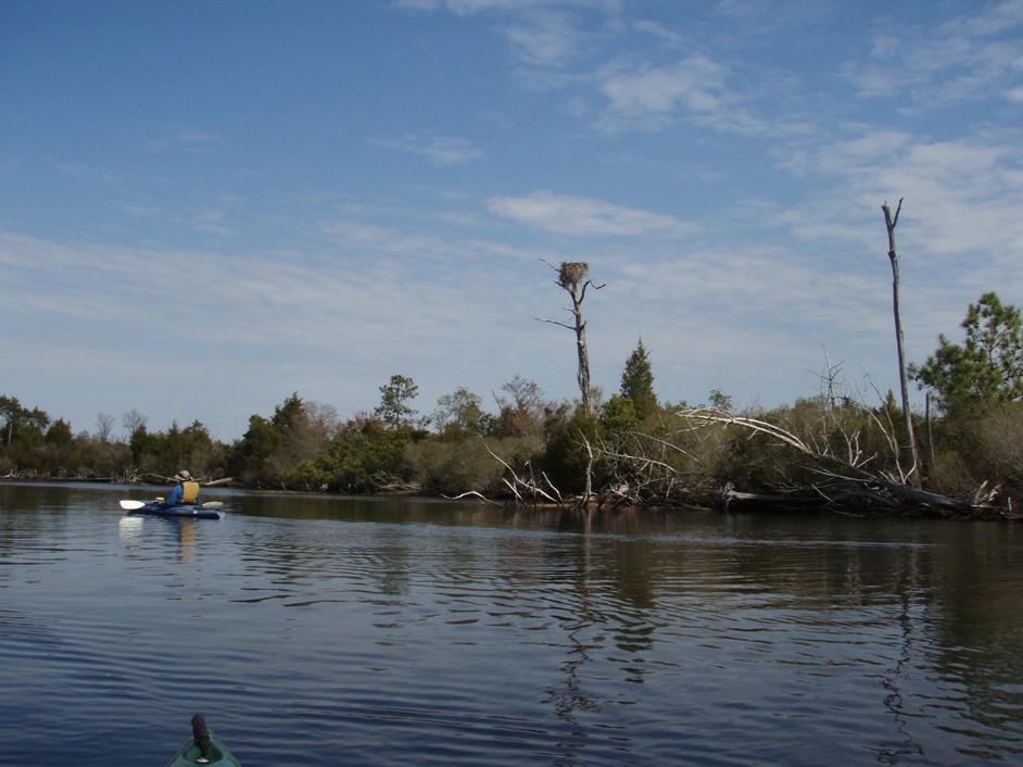  Southwest Creek kayak trip.
