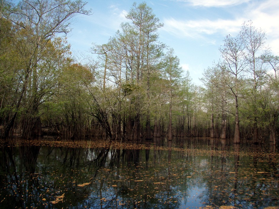  Waccamaw River.