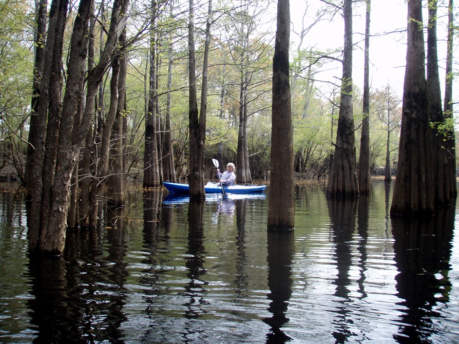  Waccamaw River.