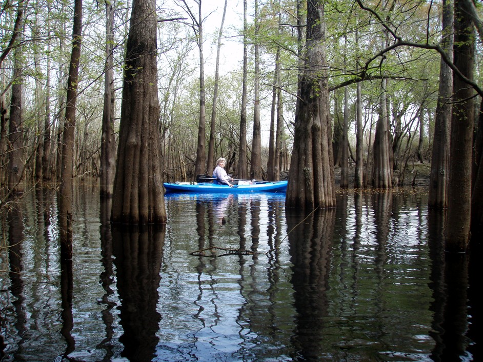  Waccamaw River.