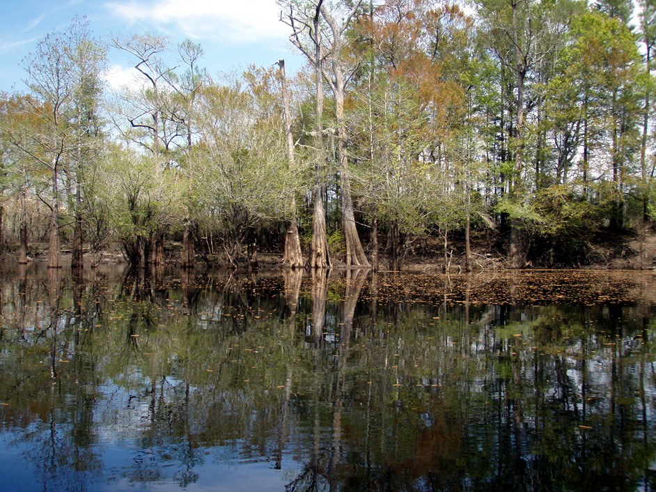  Waccamaw River.