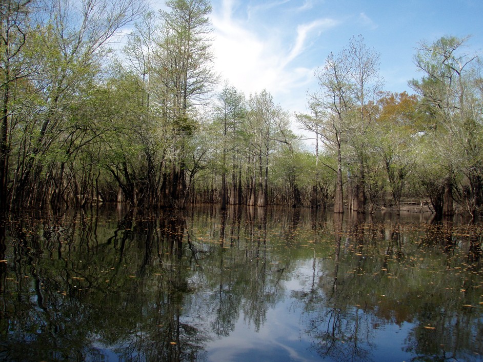  Waccamaw River.