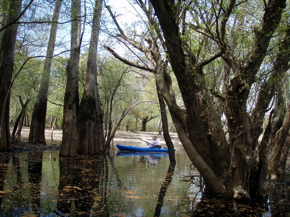  Waccamaw River.