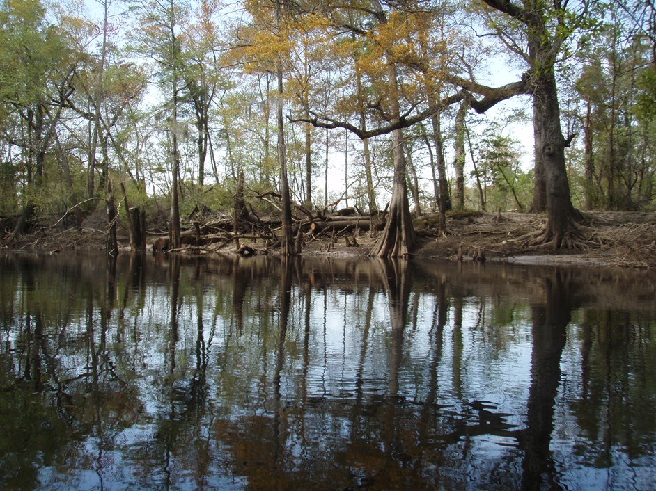  Waccamaw River.