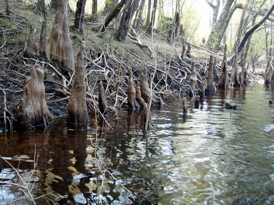  Waccamaw River.