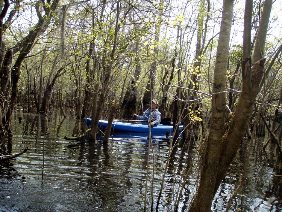  Waccamaw River.