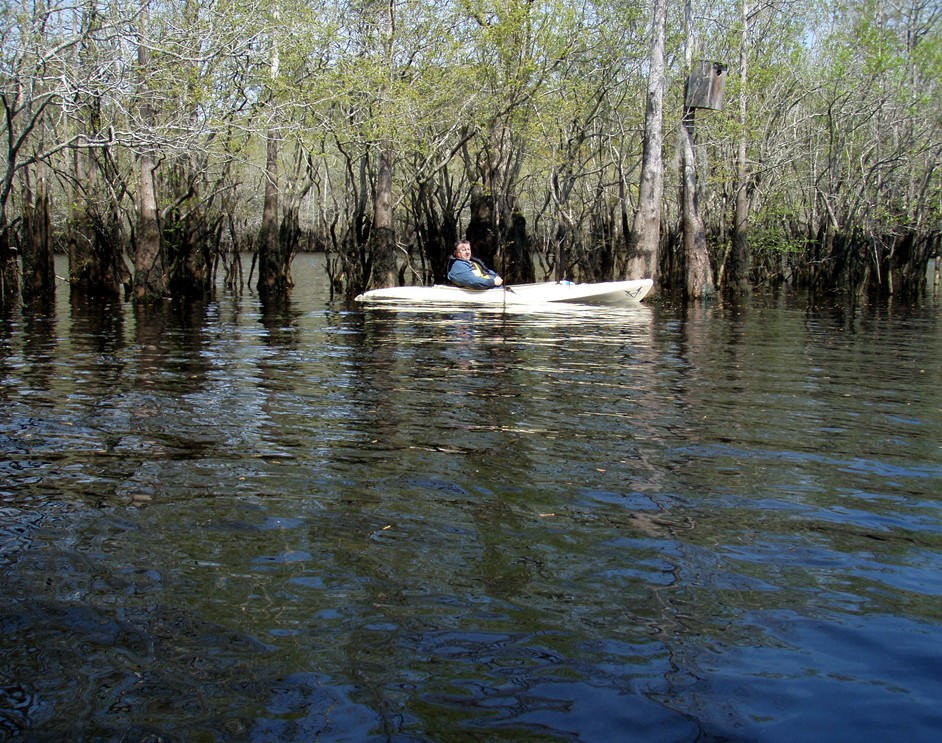  Waccamaw River.