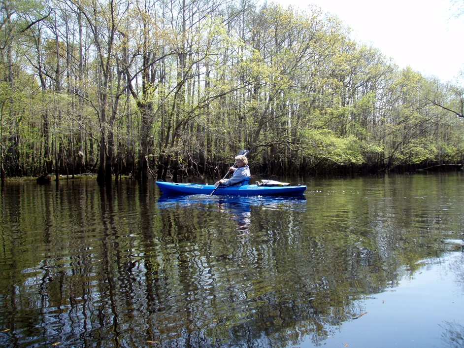  Waccamaw River.