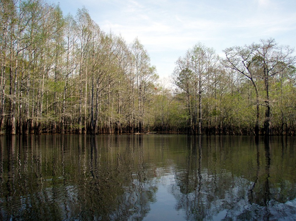  Waccamaw River.